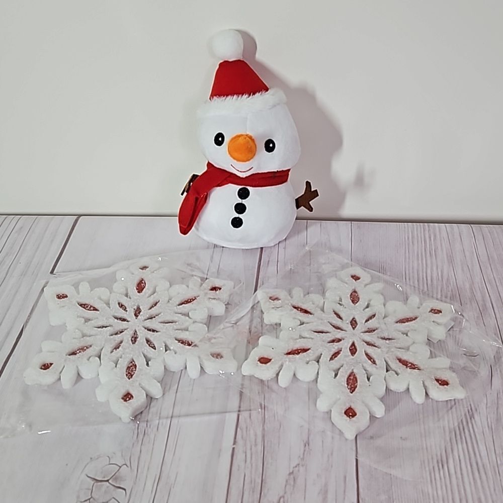 Winter Wreath Kit